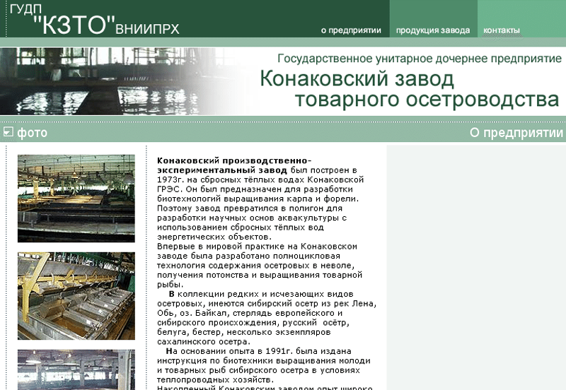 Разработка сайта осетрового завода