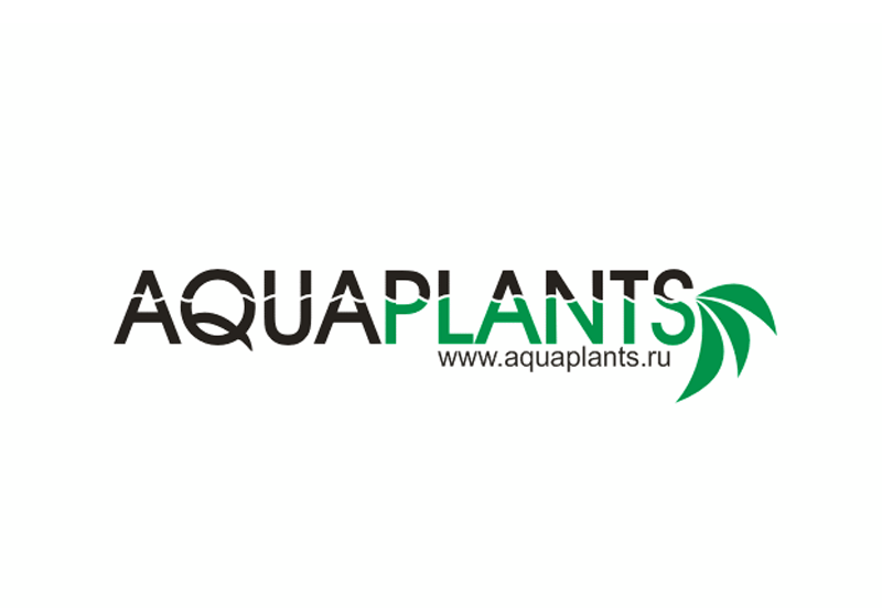 Создание логотипа сообщества аквариумных растений