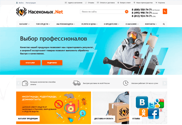 Создание интернет-магазина Насекомых.Net
